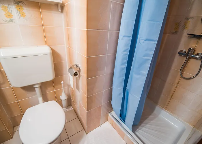 בית הארחה Hisa Resje בוהין