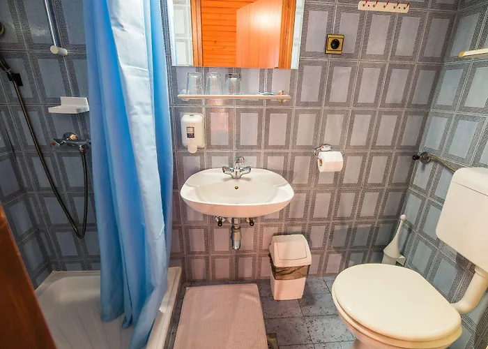 Hisa Resje Πανσιόν Bohinj